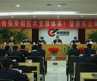 客戶來(lái)訪萊鋼泰東公司 客戶來(lái)訪萊鋼泰東公司